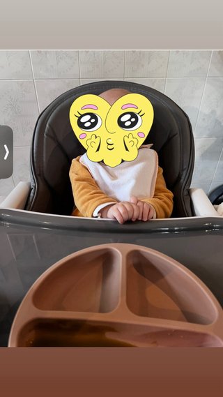 Trona Bebé Bebico Gris