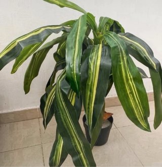 Planta Artificial Grande Verde y Amarilla