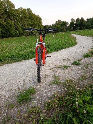 Bicicletta MTB 24 rossa