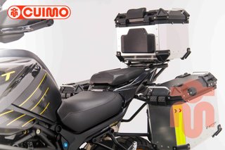 QJ MOTOR SRT 900 SX