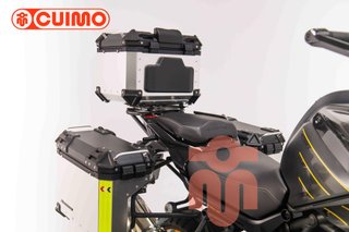 QJ MOTOR SRT 900 SX