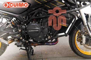 QJ MOTOR SRT 900 SX