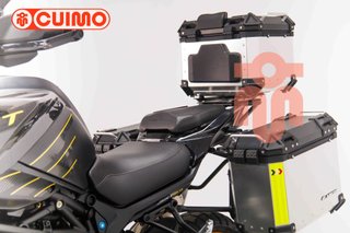 QJ MOTOR SRT 900 SX