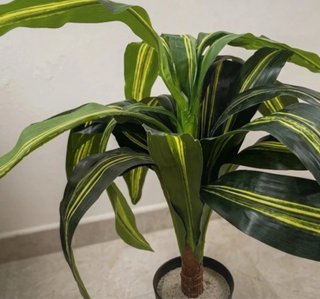 Planta Dracaena Artificial Grande