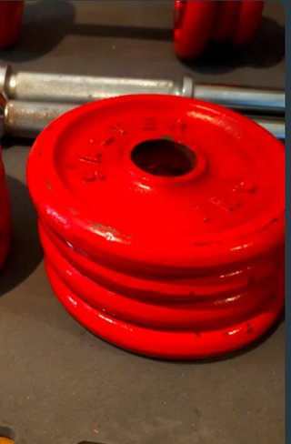 4 Discos Salter 1 kg
