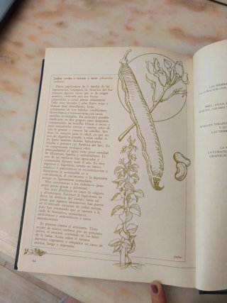 Medicina Natural Las Plantas Medicinales