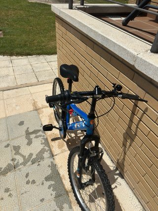Bicicleta infantil azul 20 pulgadas