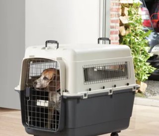 Transportín IATA perros/mascotas