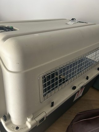 Transportín IATA perros/mascotas