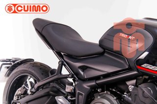 TRIUMPH TRIDENT 660