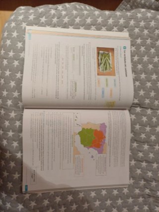 Lengua castellana y literatura
