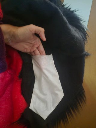 Fursuit León Parcial