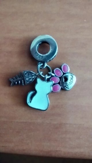 Charm Gato Huella Hueso