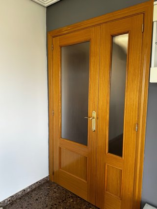 Lote de hojas de las  puertas