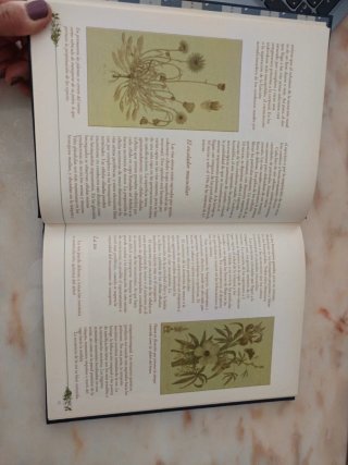 Medicina Natural Las Alergias y sus tratamientos