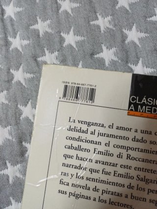 El corsario negro