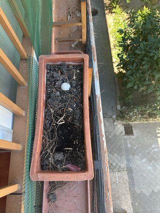 2 Macetas Cerámica Grandes Marrón