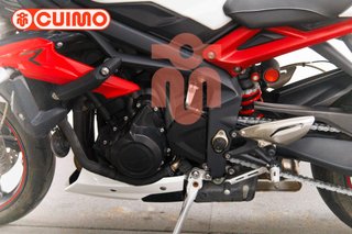TRIUMPH STREET TRIPLE R