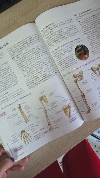 Anatomía Aplicada 1° de Bachillerato