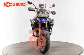 TRIUMPH TIGER 800