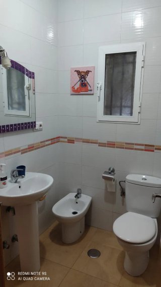 Alquiler Piso Estudiantes Jaén