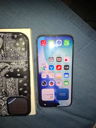 iPhone 16 Pro Max 256GB Dorado Batería 92%