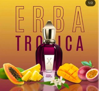 Profumo Unisex Xerjoff Erba Tropica