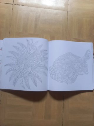 Bestias brillantes: las ilustraciones favoritas...