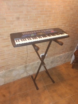 Teclado Casio CTK-495