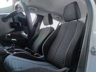 Peugeot 208 BlueHDi 100 Active 75 kW (100 CV)