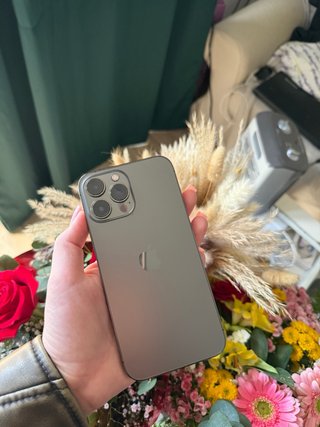 iPhone 13 Pro Max 256GB Gris