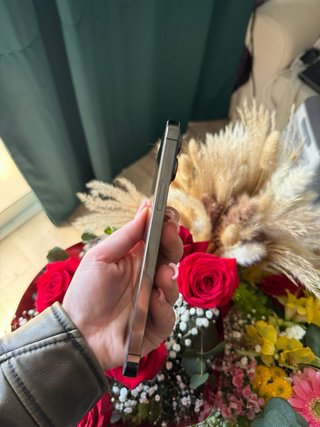 iPhone 13 Pro Max 256GB Gris