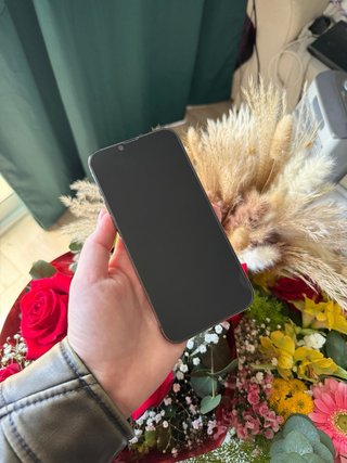 iPhone 13 Pro Max 256GB Gris