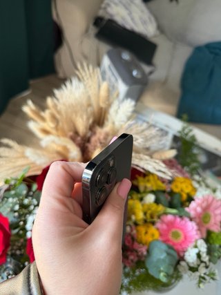 iPhone 13 Pro Max 256GB Gris