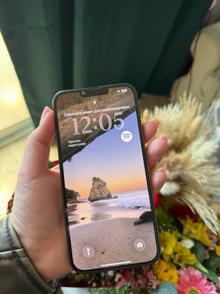 iPhone 13 Pro Max 256GB Gris
