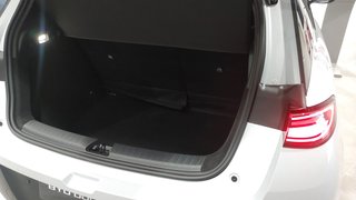 BYD Dolphin G 2026