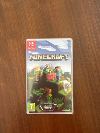 Minecraft Nintendo Switch