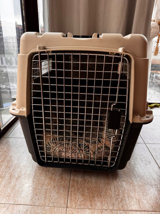 Transportín perro mediano como nuevo + cama regalo