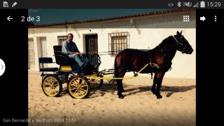 Coche de caballos para entrenar