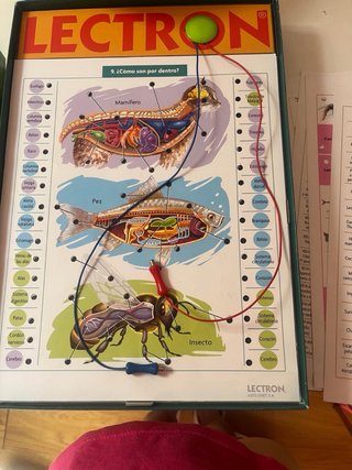 Juegos y juguetes
