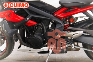 TRIUMPH STREET TRIPLE R