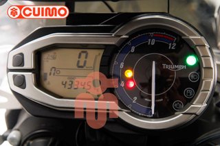 TRIUMPH TIGER 800