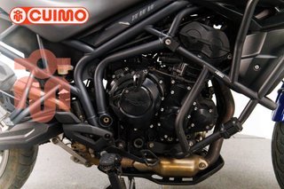 TRIUMPH TIGER 800