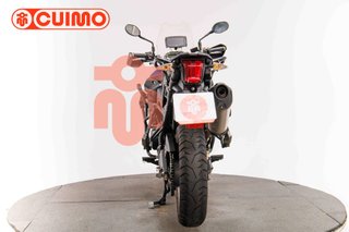 TRIUMPH TIGER 800