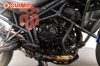 TRIUMPH TIGER 800