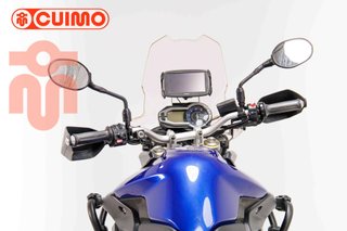 TRIUMPH TIGER 800