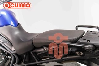 TRIUMPH TIGER 800