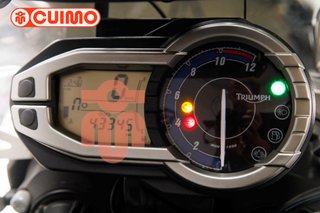 TRIUMPH TIGER 800