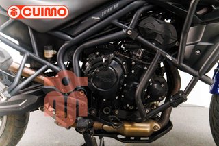 TRIUMPH TIGER 800