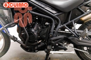 TRIUMPH TIGER 800
